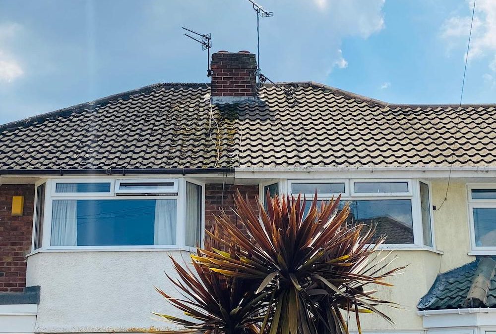 Roof Cleaning – Your Questions Answered